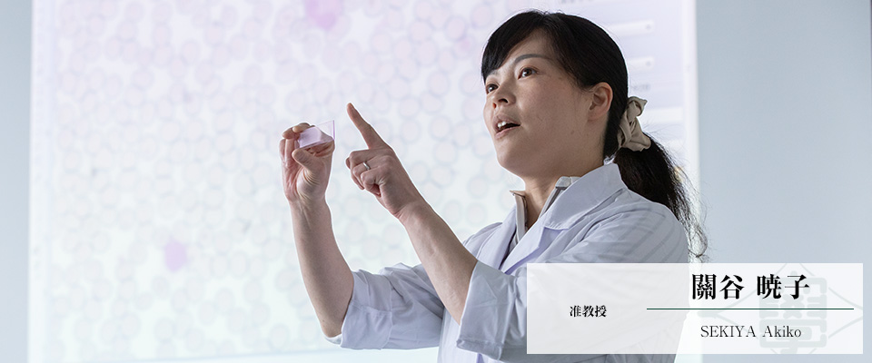關谷 暁子