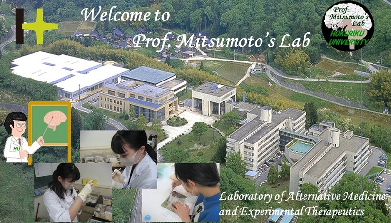 Prof. Mitsumoto's Lab.jpg