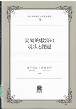 実効的救済の現状と課題 / 金子匡良, 西田幸介編著