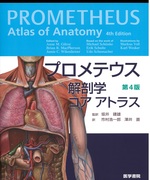 プロメテウス : 解剖学コアアトラス / Anne M. Gilroy, Brian R. MacPherson, Jamie C. Wikenheiser [編] ; 市村浩一郎, 澤井直訳. -- 第4版