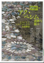 アク・ベシム遺跡を掘る : よみがえるシルクロードの交易都市 / 山内和也, 齊藤茂雄編
