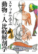スケッチで学ぶ動物+人 比較解剖学 / 加藤公太+小山晋平著
