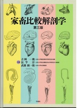 家畜比較解剖学-- 第3版 / 吉岡一機, 長竿淳, 武藤顕一郎共著
