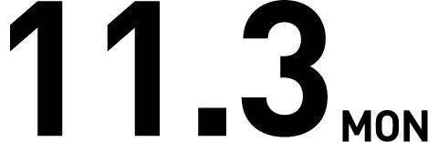 11.3mon