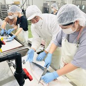 北陸大学SIGHTが奥能登食材流通機構で加工作業を体験