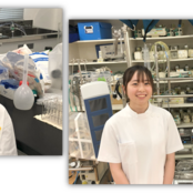 「第1種ME技術実力検定試験」に医療保健学部医療技術学科4年次生1名、3年次生2名が合格！